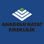 Anadolu Hayat Emeklilik A.Ş. Hisse Senedi